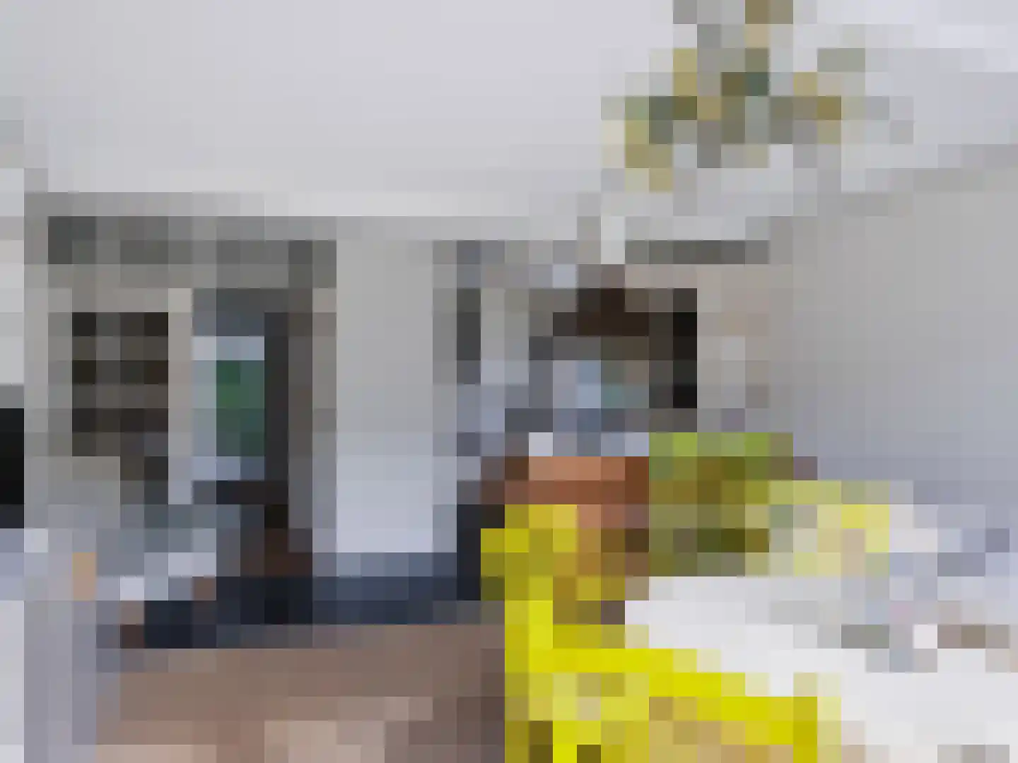 Achterpad 1 a Schoorl thumbnail 11