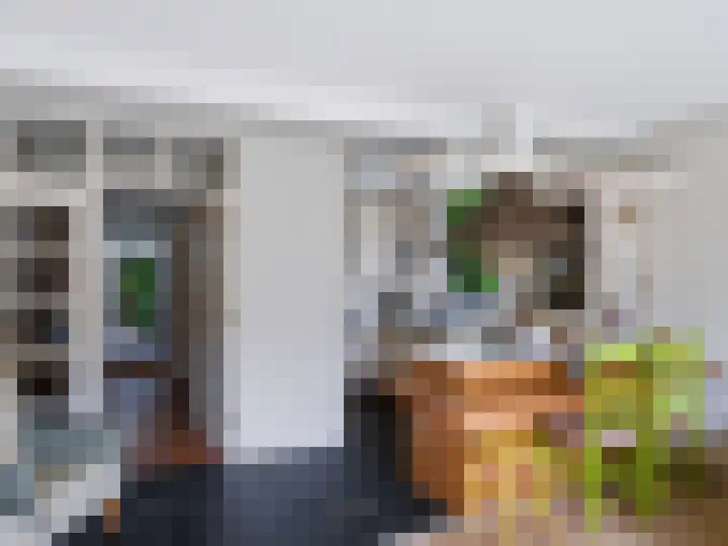 Achterpad 1 a Schoorl thumbnail 12