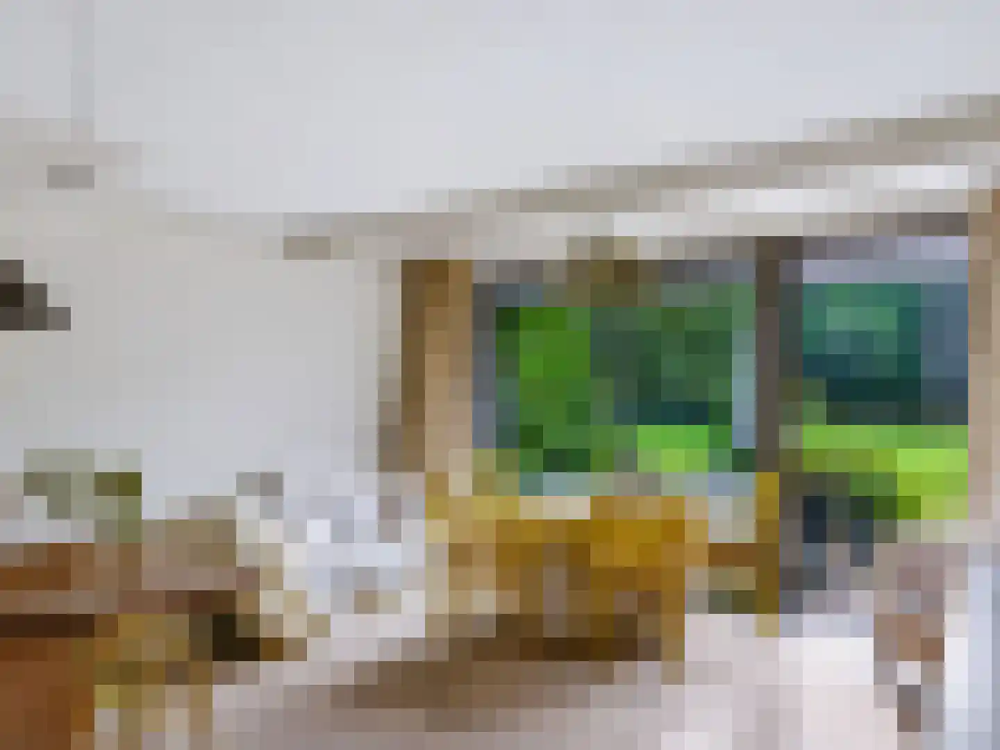 Achterpad 1 a Schoorl thumbnail 13