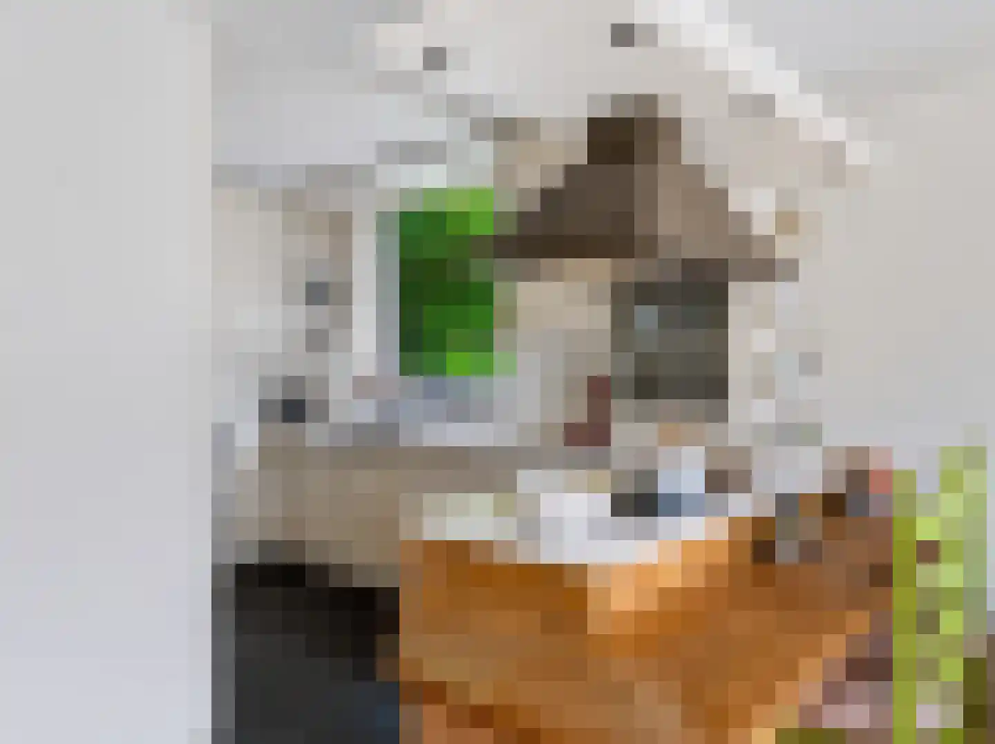 Achterpad 1 a Schoorl thumbnail 14