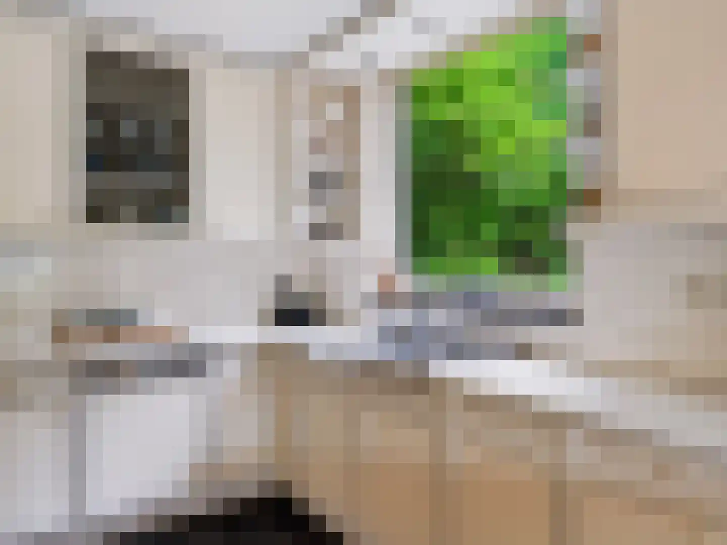Achterpad 1 a Schoorl thumbnail 15