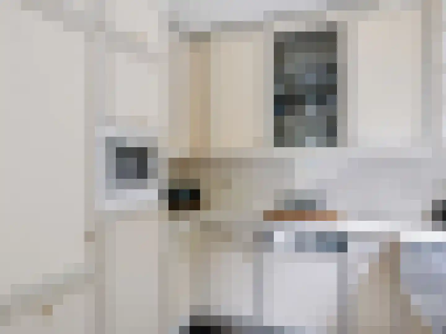 Achterpad 1 a Schoorl thumbnail 16
