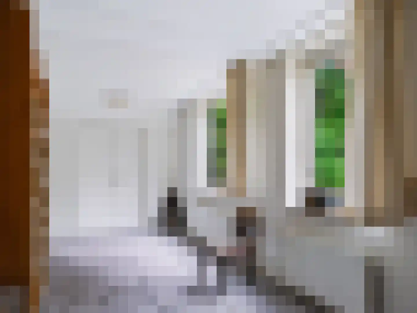 Achterpad 1 a Schoorl thumbnail 21