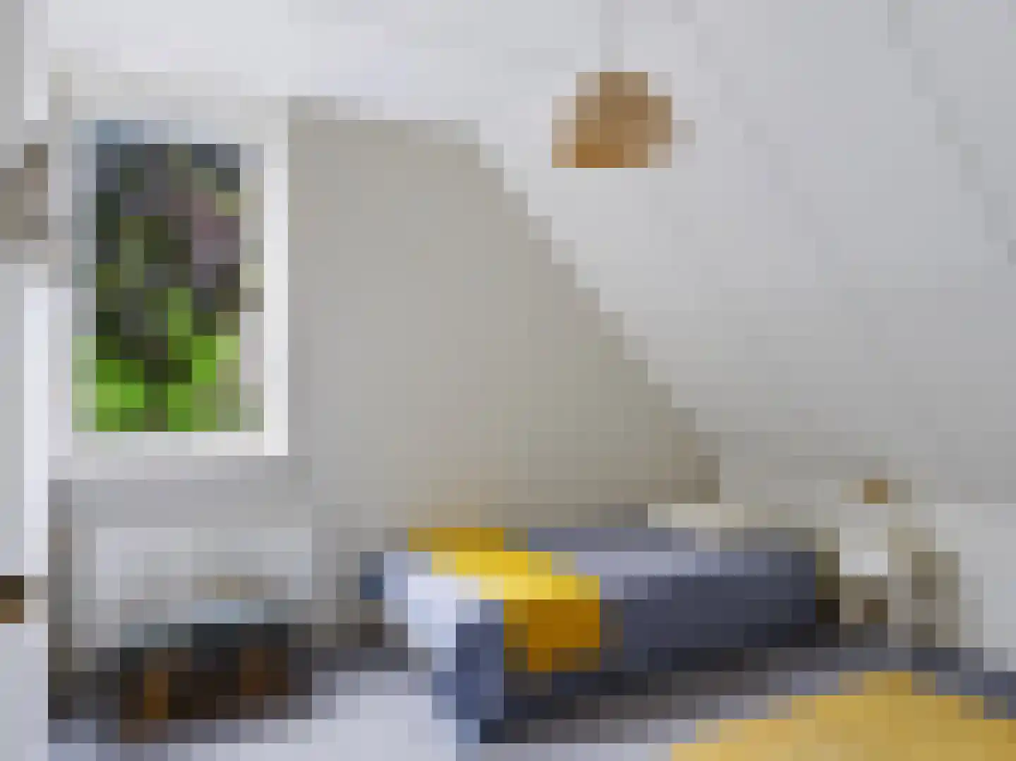 Achterpad 1 a Schoorl thumbnail 26
