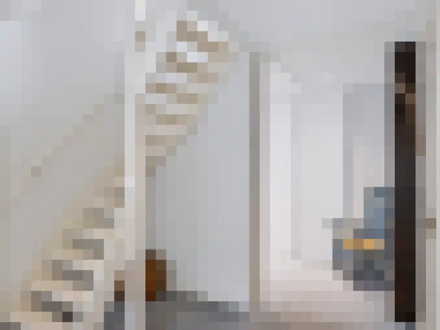 Achterpad 1 a Schoorl thumbnail 29