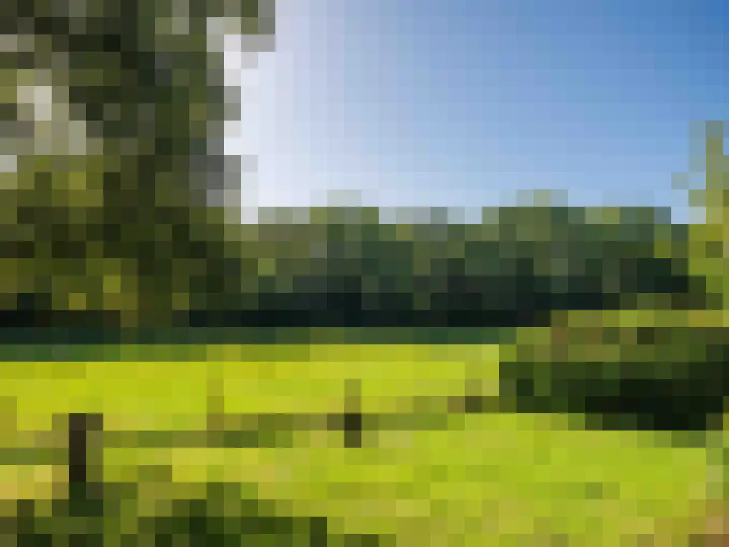 Achterpad 1 a Schoorl foto 3