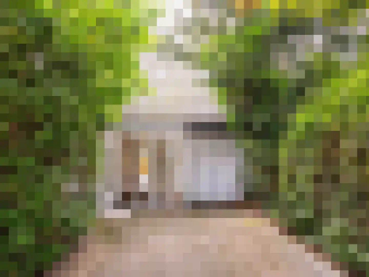 Achterpad 1 a Schoorl thumbnail 34
