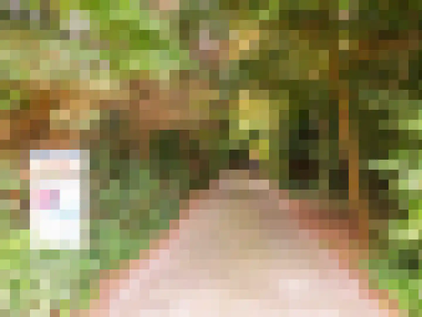 Achterpad 1 a Schoorl thumbnail 35