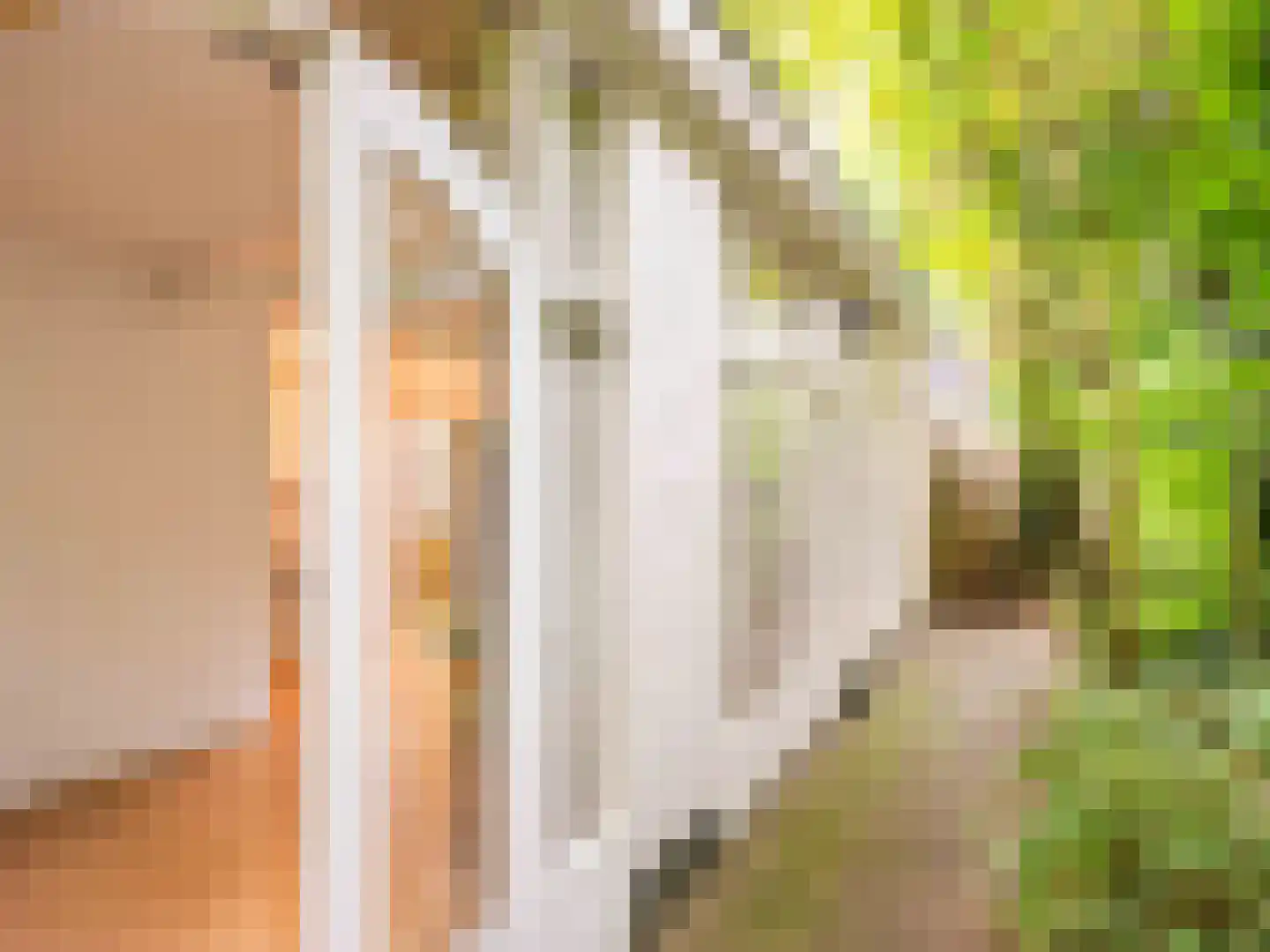 Achterpad 1 a Schoorl thumbnail 36