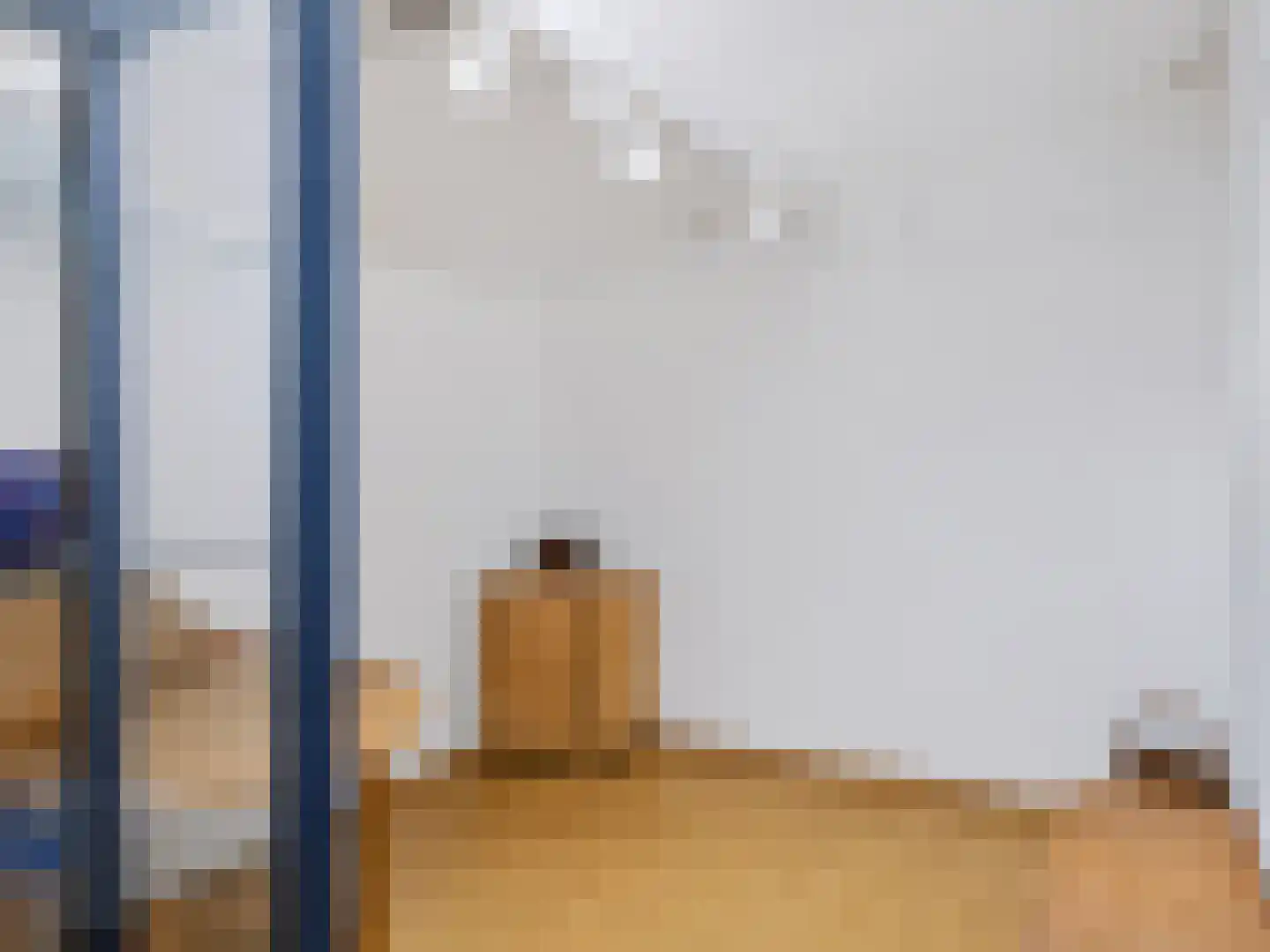 Achterpad 1 a Schoorl thumbnail 42