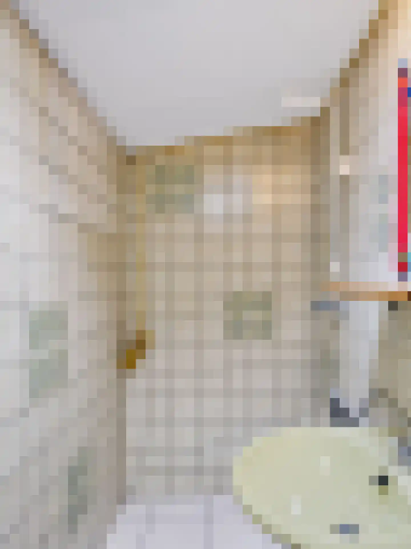 Achterpad 1 a Schoorl thumbnail 44