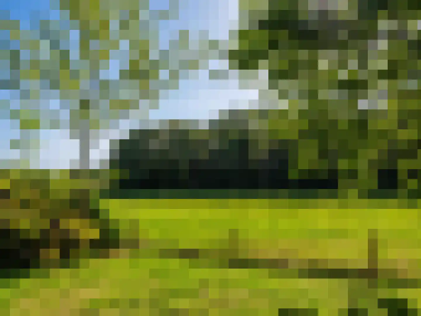 Achterpad 1 a Schoorl thumbnail 45