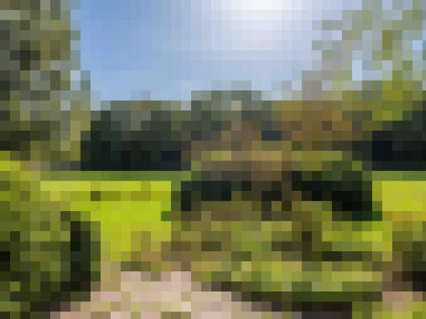 Achterpad 1 a Schoorl thumbnail 46