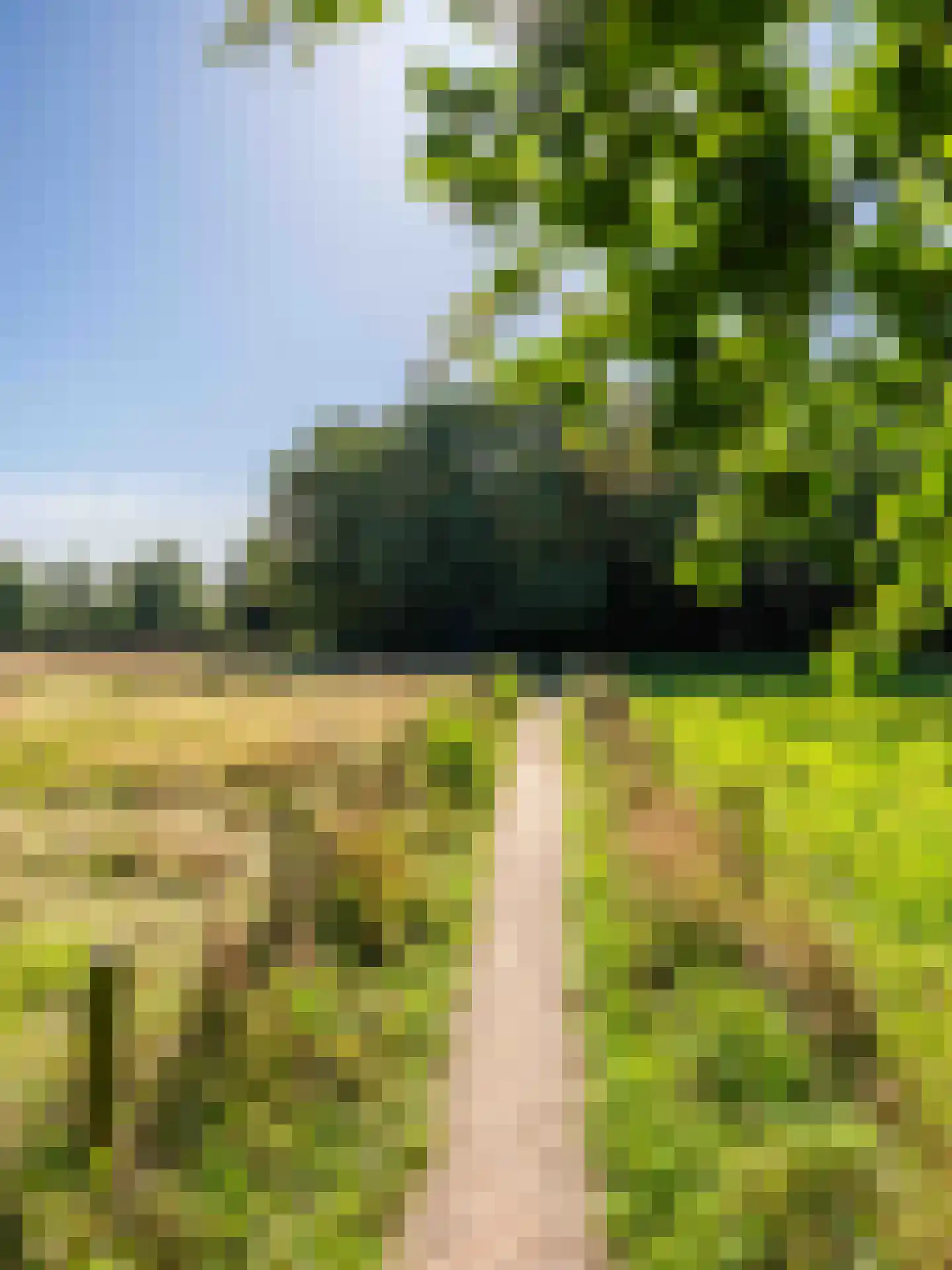 Achterpad 1 a Schoorl thumbnail 52