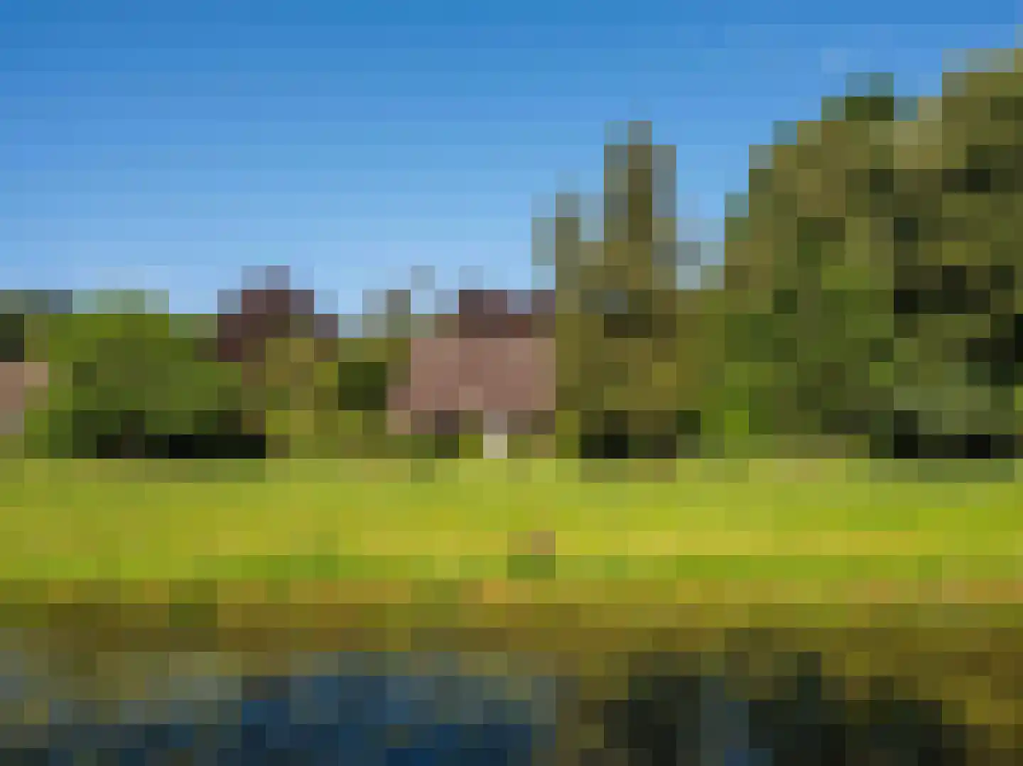 Achterpad 1 a Schoorl thumbnail 53