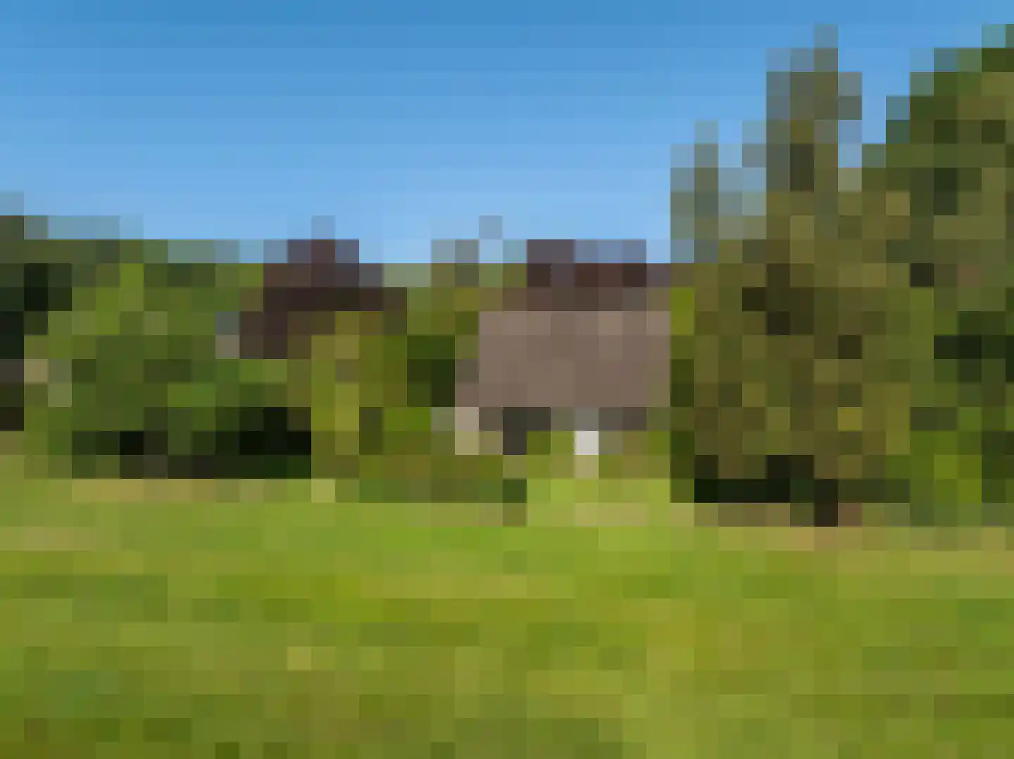Achterpad 1 a Schoorl thumbnail 54