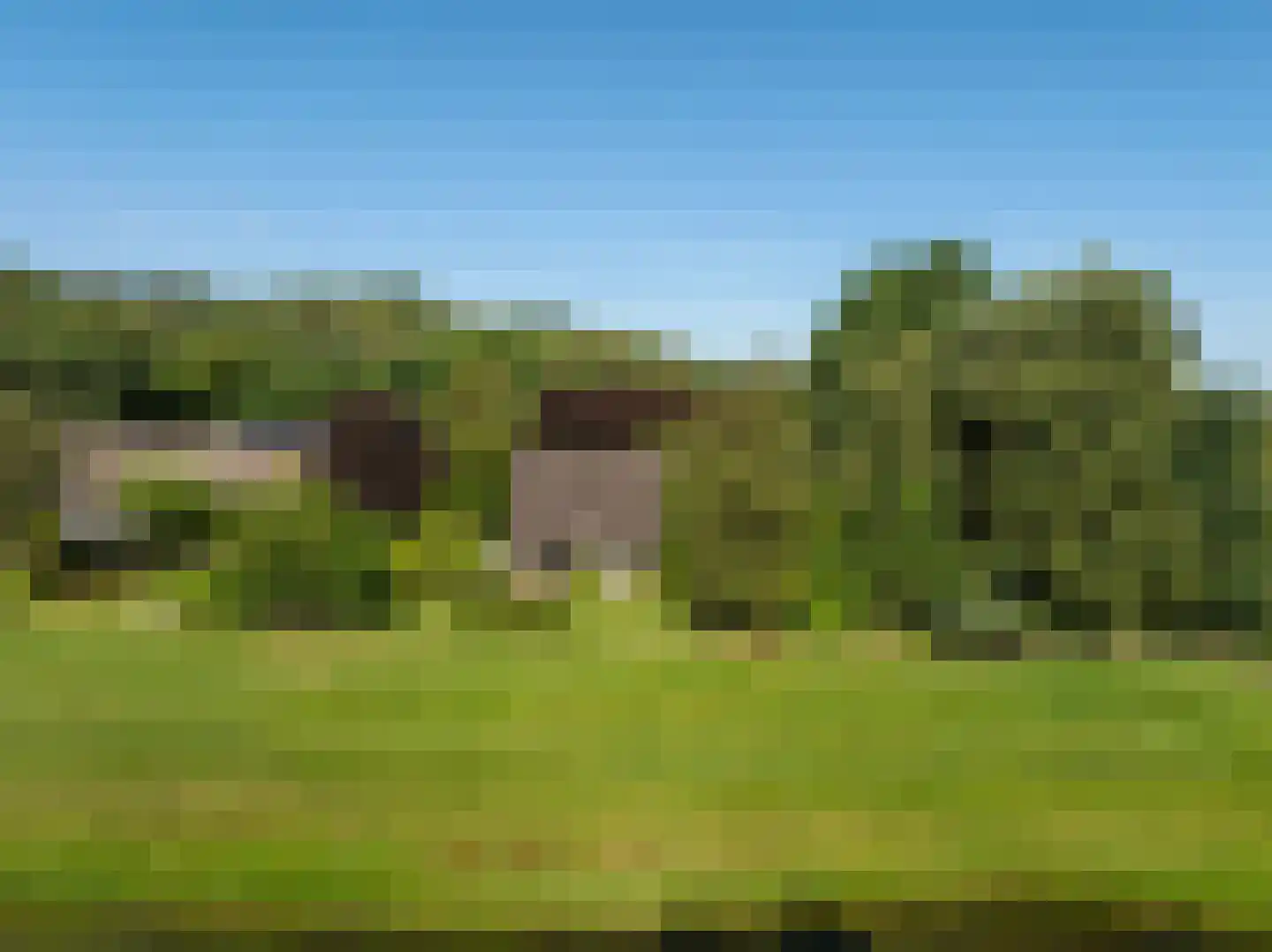 Achterpad 1 a Schoorl thumbnail 55