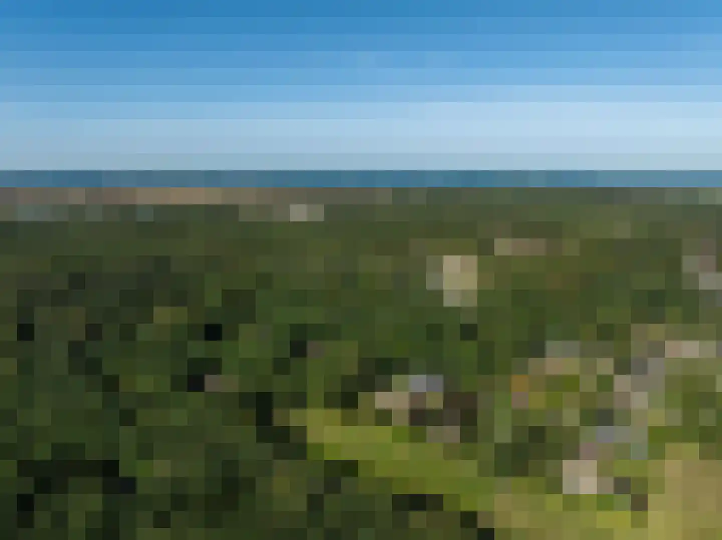 Achterpad 1 a Schoorl thumbnail 56