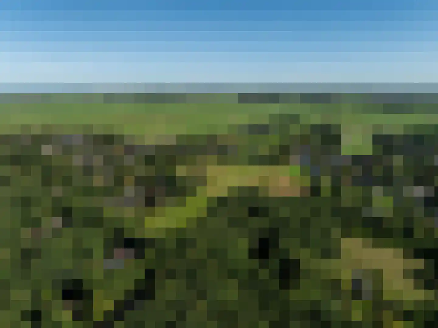 Achterpad 1 a Schoorl thumbnail 58