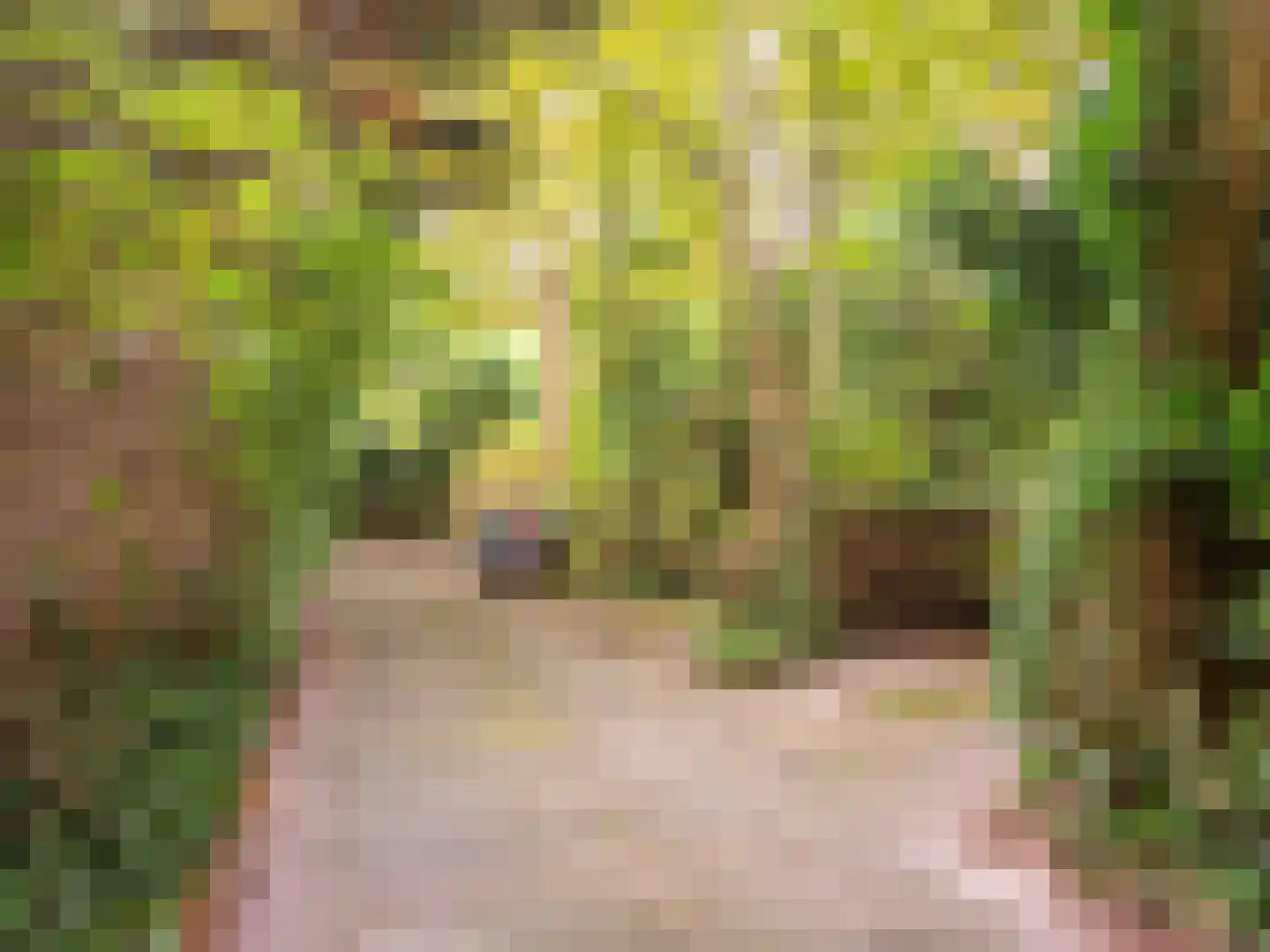 Achterpad 1 a Schoorl thumbnail 59