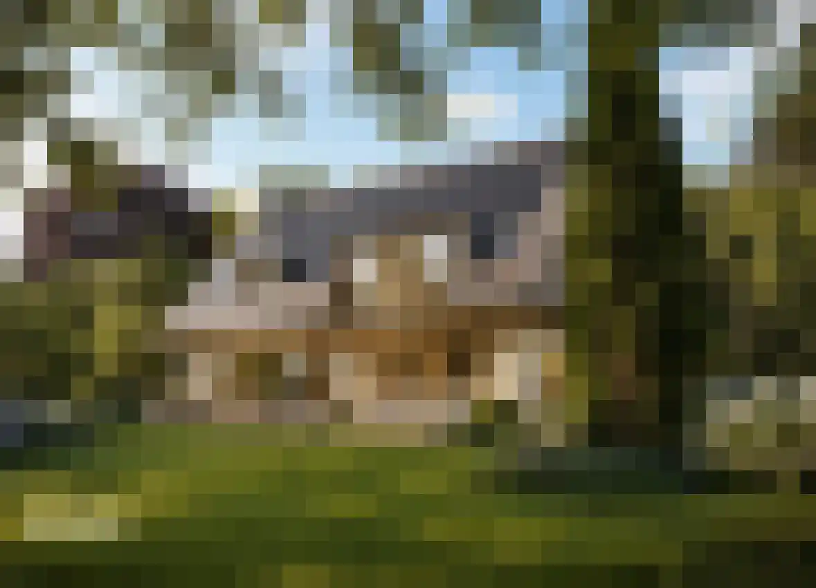 Achterpad 1 a Schoorl thumbnail 6