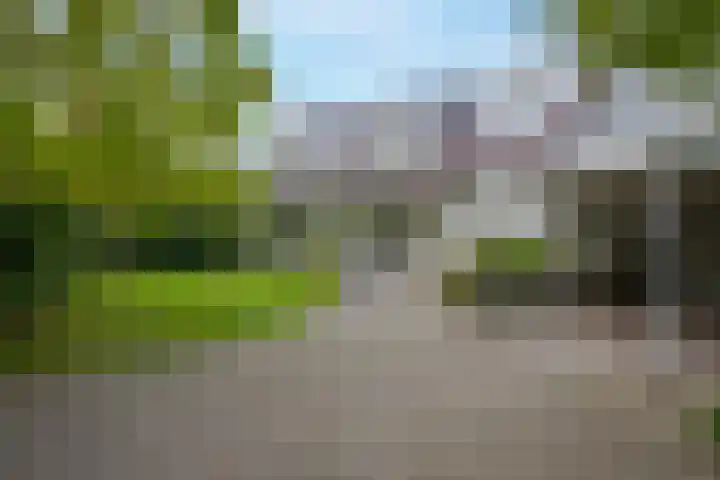 Achterpoelen 1 in Warmond