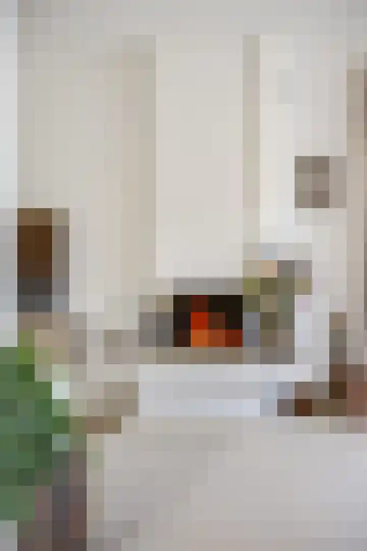 Achterpoelen 1 Warmond thumbnail 15