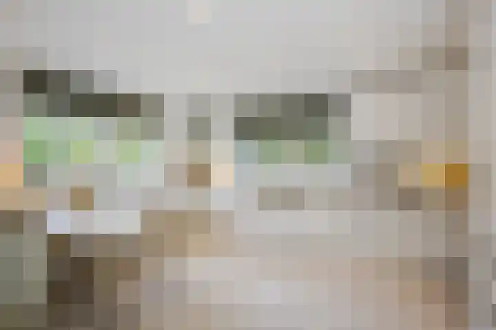 Achterpoelen 1 Warmond thumbnail 23