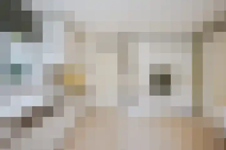 Achterpoelen 1 Warmond thumbnail 25