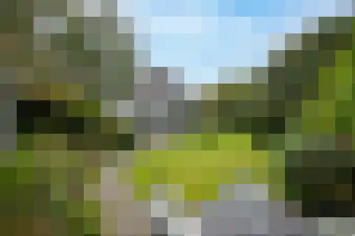 Achterpoelen 1 Warmond thumbnail 37