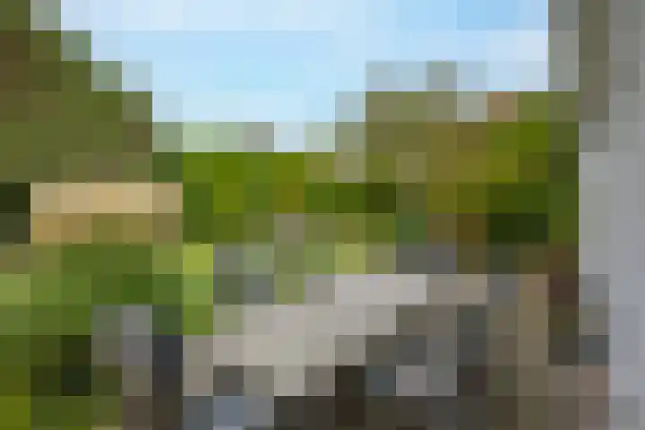 Achterpoelen 1 Warmond thumbnail 39