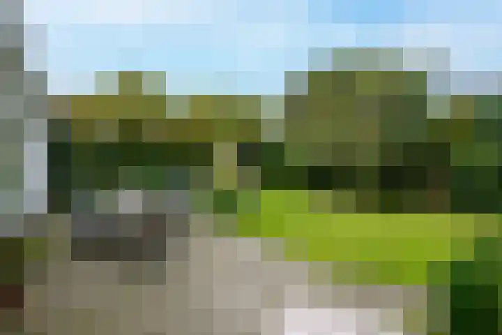 Achterpoelen 1 Warmond thumbnail 40