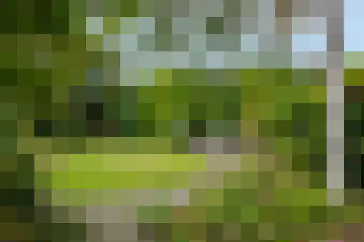 Achterpoelen 1 Warmond thumbnail 41