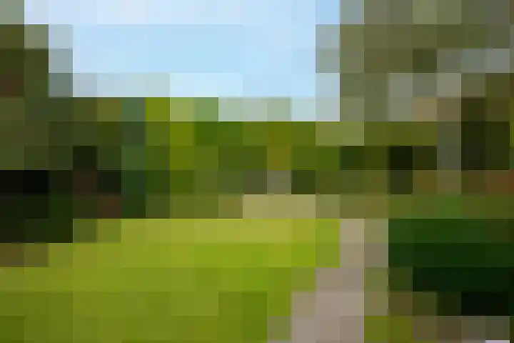 Achterpoelen 1 Warmond thumbnail 42