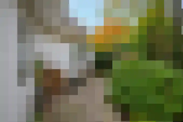 Achterpoelen 1 Warmond thumbnail 43