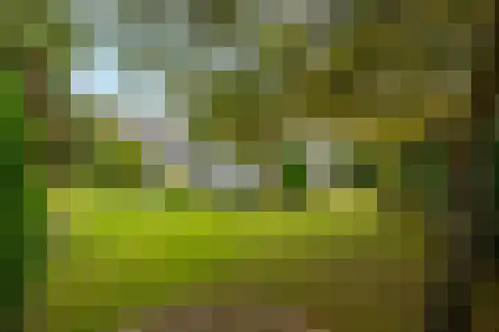 Achterpoelen 1 Warmond thumbnail 46