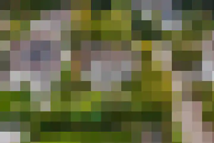 Achterpoelen 1 Warmond thumbnail 49