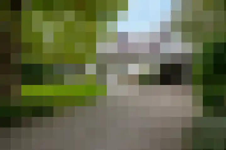 Achterpoelen 1 Warmond thumbnail 5