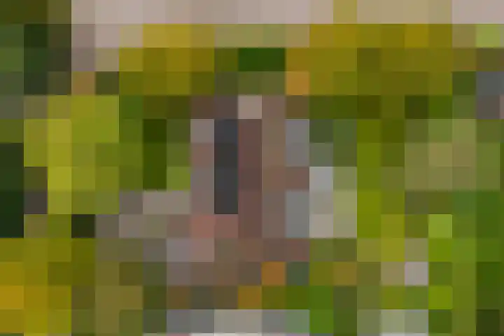 Achterpoelen 1 Warmond thumbnail 50