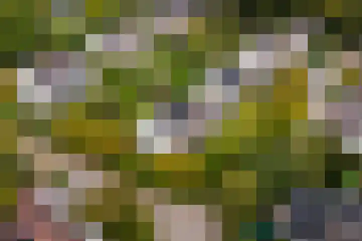 Achterpoelen 1 Warmond thumbnail 51