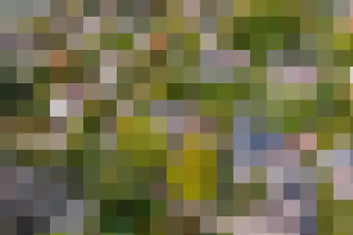 Achterpoelen 1 Warmond thumbnail 52