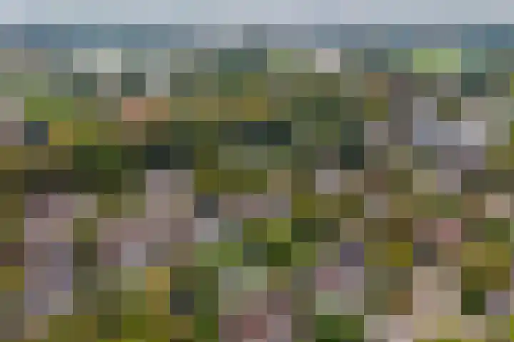 Achterpoelen 1 Warmond thumbnail 53