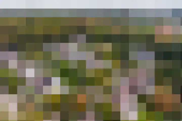 Achterpoelen 1 Warmond thumbnail 54