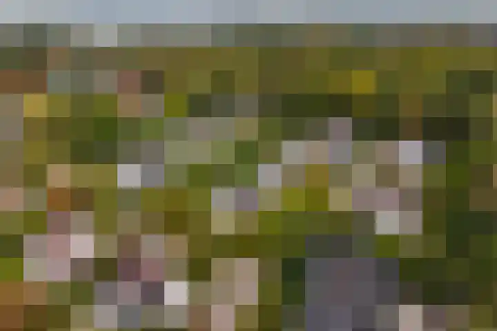 Achterpoelen 1 Warmond thumbnail 55