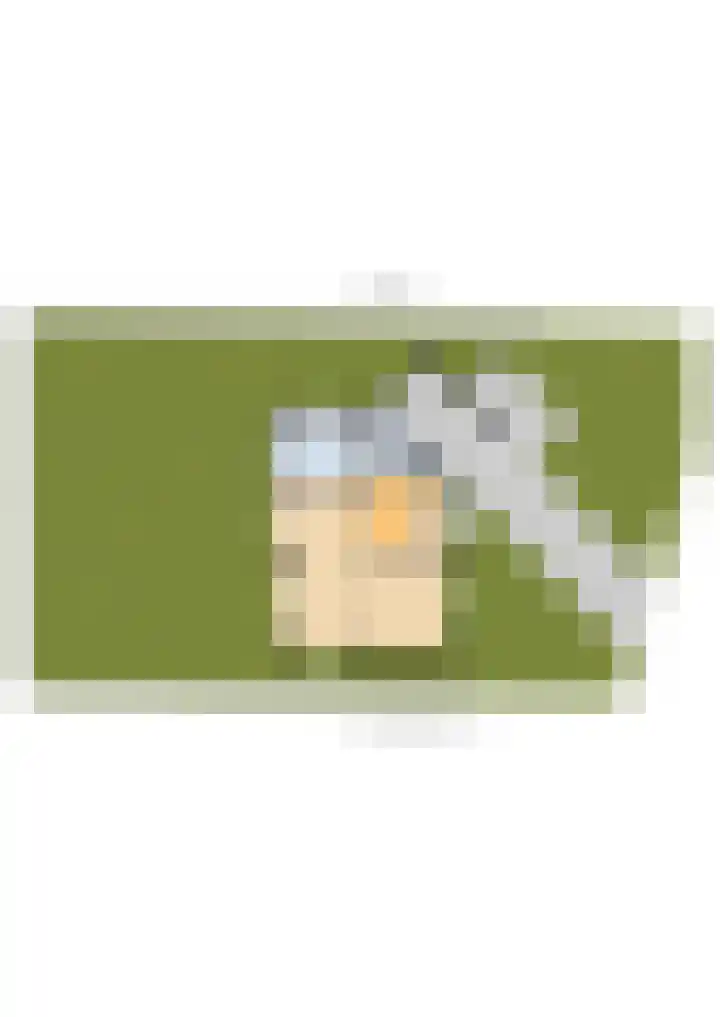Achterpoelen 1 Warmond thumbnail 56