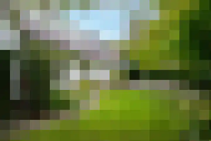 Achterpoelen 1 Warmond thumbnail 6