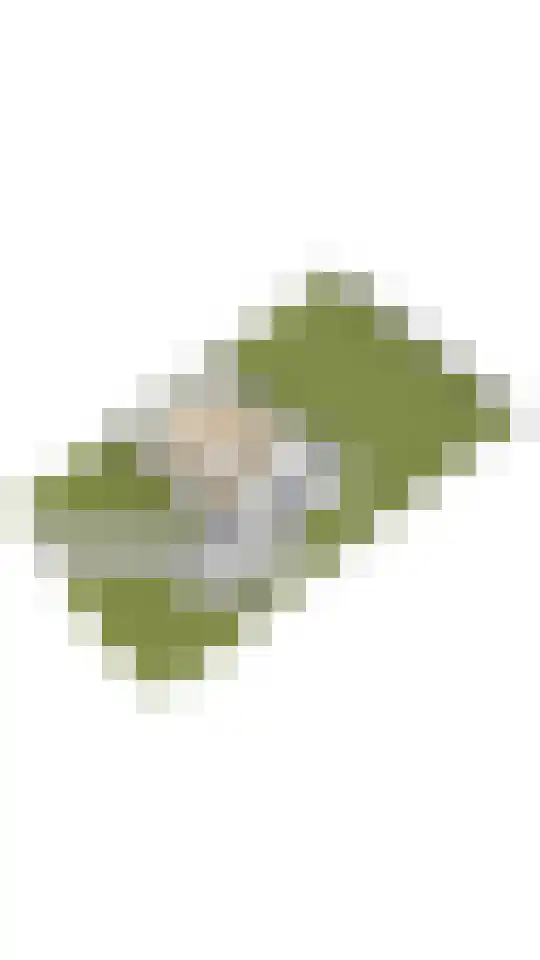 Achterpoelen 1 Warmond thumbnail 61