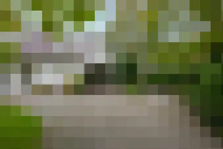 Achterpoelen 1 Warmond thumbnail 7