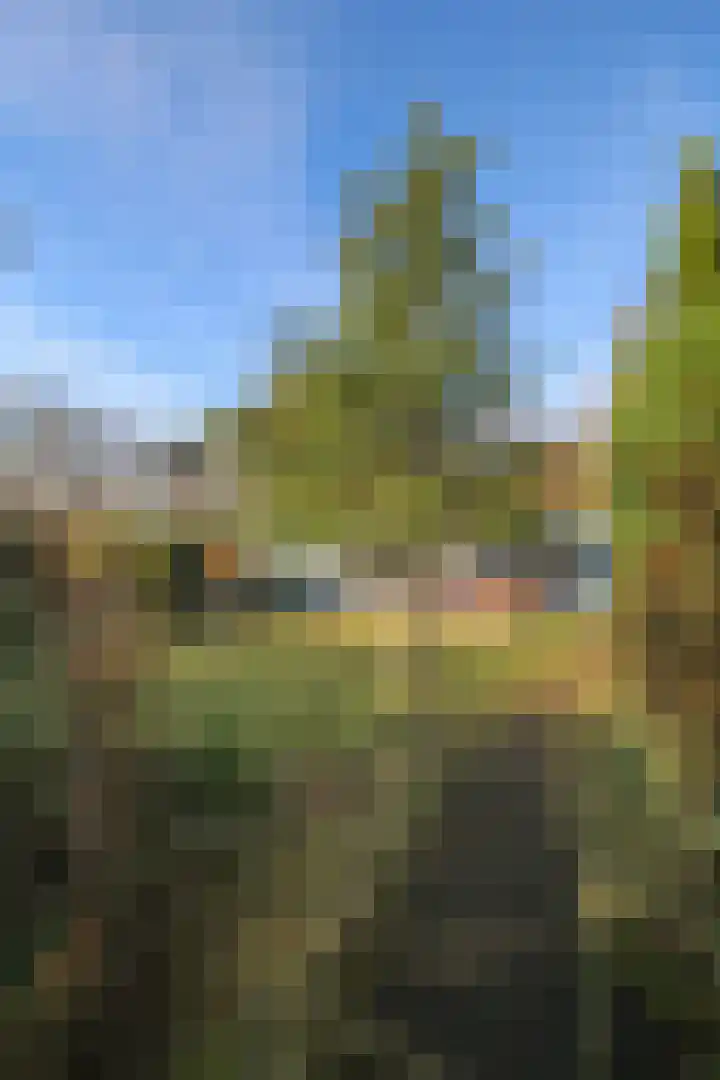 Achterridderweg 1 13 Putten thumbnail 35
