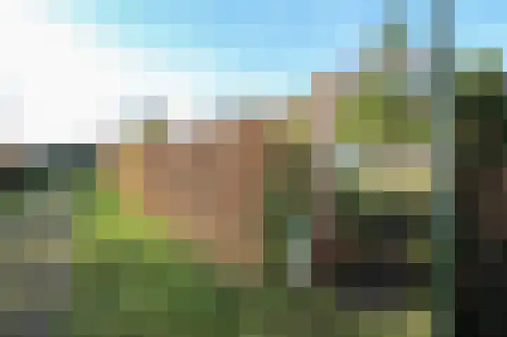 Achterridderweg 1 13 Putten thumbnail 37